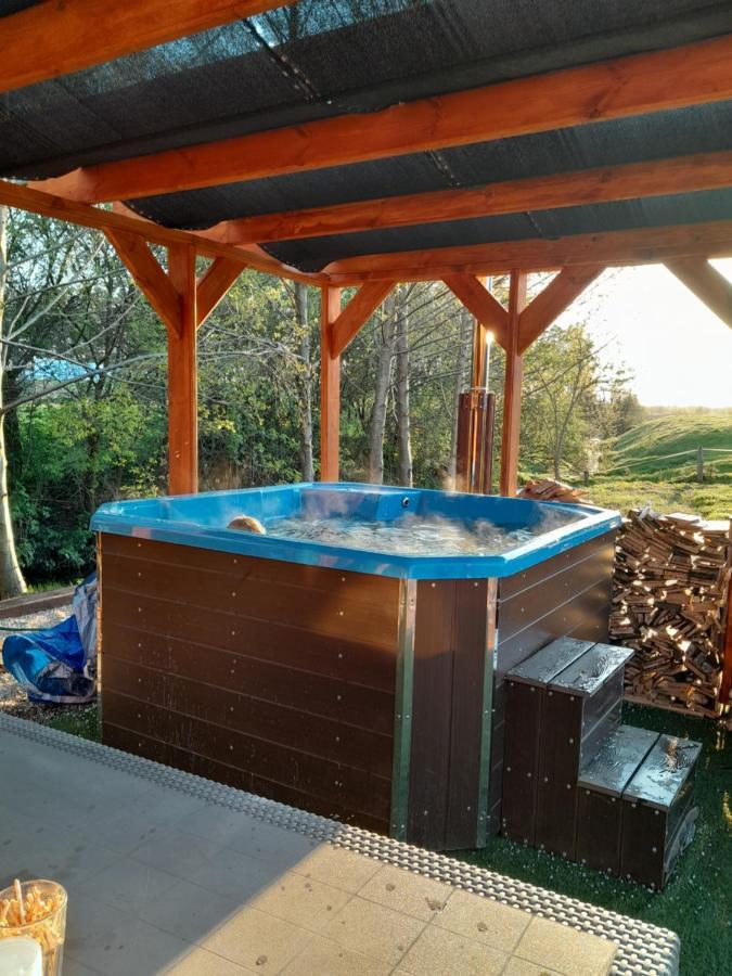 Florczaki Pensjonat Agroturystyczny Pod Modrzewiem B&B 외부 사진